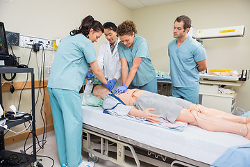 Image showing Nurse Performing CPR On Dummy Patient