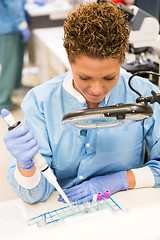 Image showing Scientist Experimenting In Laboratory