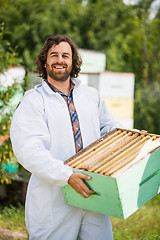 Image showing Confident Beekeeper Carrying Honeycomb Crate