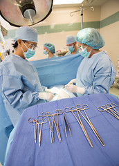 Image showing Doctors Operating Patient In Operation Room