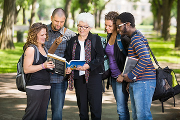 Image showing Senior Student Discussing Notes With Classmates On Campus