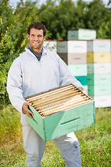 Image showing Confident Beekeeper Carrying Honeycomb Crate