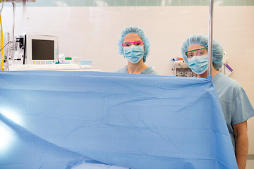 Image showing Anesthesiologist at Work