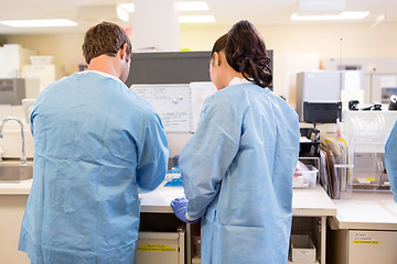 Image showing Scientists Working In Laboratory