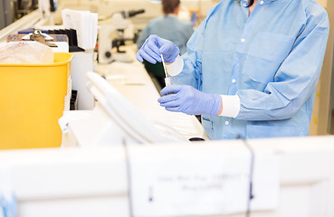 Image showing Researcher Experimenting In Laboratory