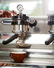 Image showing Cup Under Portafilter Attached To Coffee Machine