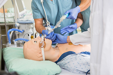 Image showing Medical Team Adjusting Endotracheal Tube On Dummy
