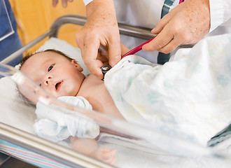 Image showing Doctor's Hands Examining Newborn Babygirl In Hospital