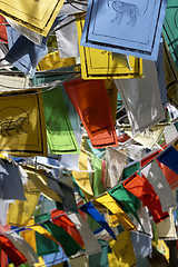 Image showing Flags showing animals