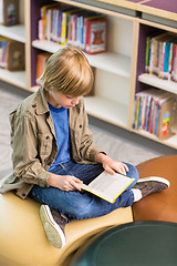 Image showing Boy Reading Book In School Library