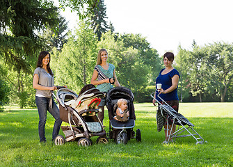 Image showing Mothers With Baby Carriages In Park