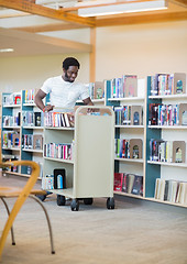 Image showing Librarian With Trolley Books