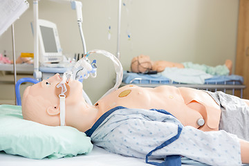 Image showing Medical Dummies