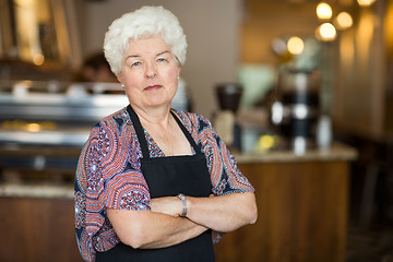 Image showing Senior Business Owner in Cafe