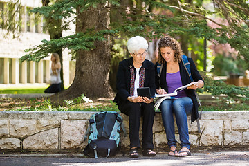 Image showing University Professor Assisting Student