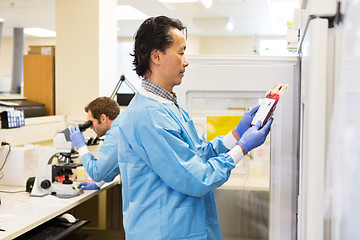 Image showing Red Blood Cells in Hospital Lab