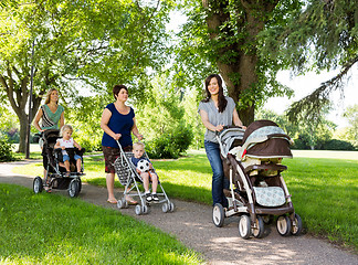 Image showing Mothers With Baby Strollers Walking In Park