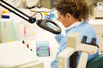 Image showing Researcher Working In Laboratory