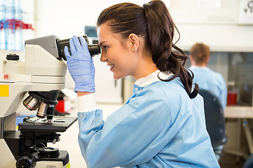 Image showing Scientist Using Microscope In Laboratory