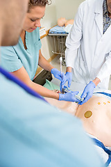 Image showing Doctor Adjusting Tube In Dummy Patient's Mouth