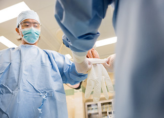 Image showing Nurse Assisting Surgeon In Wearing Glove