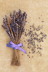 Image showing Lavender Posy