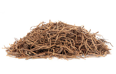 Image showing Chinese Gentian Root
