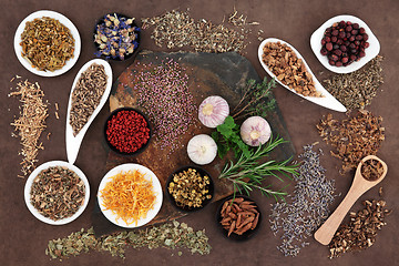 Image showing Medicinal and Magical Herbs