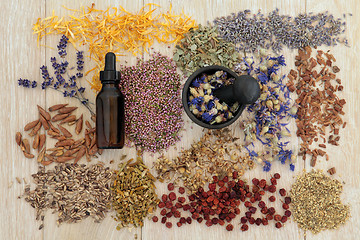 Image showing Alternative Medicine