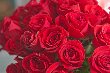 Image showing roses background