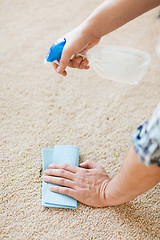 Image showing close up of male cleaning stain on carpet