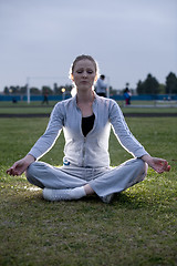 Image showing Meditation in the park