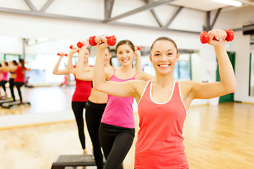 Image showing group of smiling female with dumbbells and step