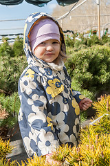 Image showing Little girl in saplings shop