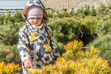 Image showing Little girl in saplings shop