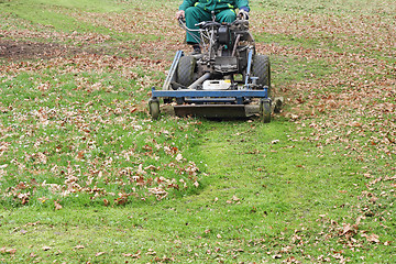 Image showing Mowing grass_1