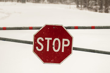 Image showing stop sign after a freshly fallen snow. 