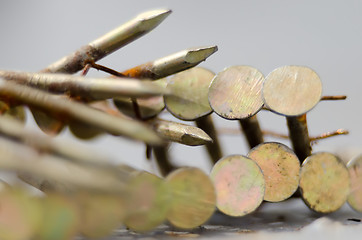 Image showing construction nails for a nail gun on a gray background