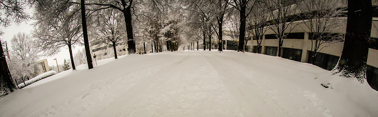 Image showing snow covered road and trees after winter storm