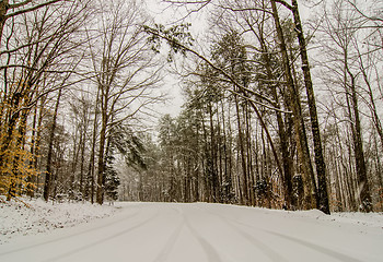 Image showing snow covered road and trees after winter storm