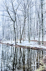 Image showing tree line reflections in lake during winter snow storm