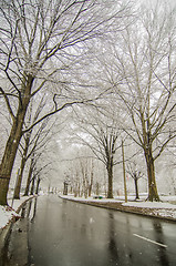 Image showing snow covered road and trees after winter storm