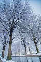 Image showing snow covered road and trees after winter storm