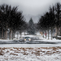 Image showing snow covered road and trees after winter storm