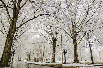 Image showing snow covered road and trees after winter storm