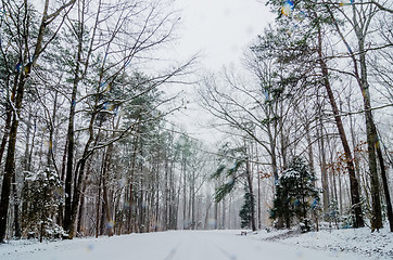 Image showing snow covered road and trees after winter storm