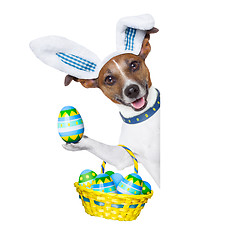 Image showing dog easter bunny