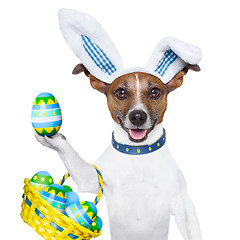 Image showing dog easter bunny