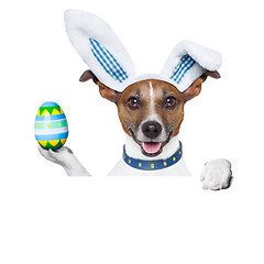 Image showing dog easter bunny