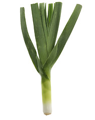 Image showing Leek Isolated On  White